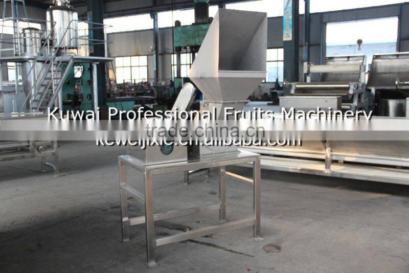 20 ton CPS-20 Model squirrel cage type garlic crushing machineI(Industrial fruit crushing machine)