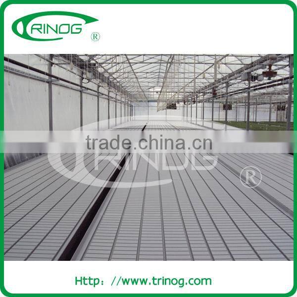 Ebb and flow seeding beds in commercial greenhouse