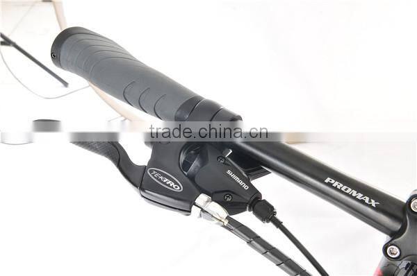 Mountain electric bike