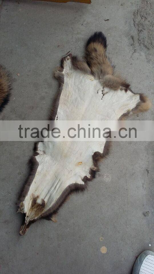 Genuine Animal Skin Raccoon Dog Fur / Real Natural Fur Skin / White Raccoon Skin