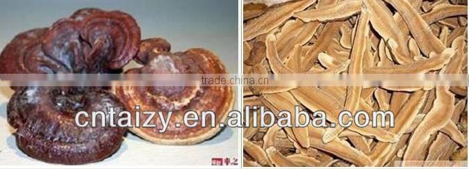 stainless steel ginseng slicer with best quality 008613673685830