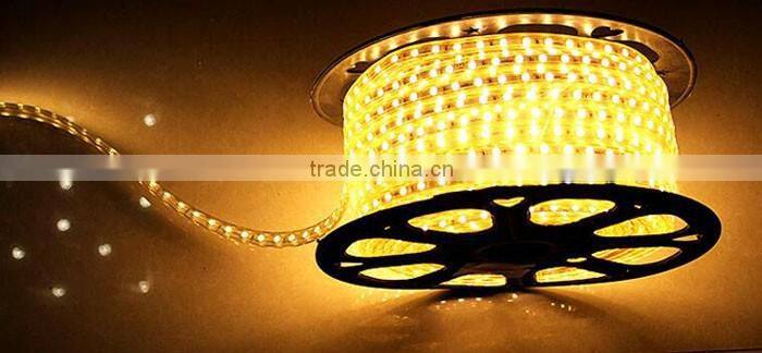 Chasing Led Rope Light High Quality High Brightness 5050/2835/5730 Led Strip Light 100m/50m/Reel Lightning With High Voltage Rgb