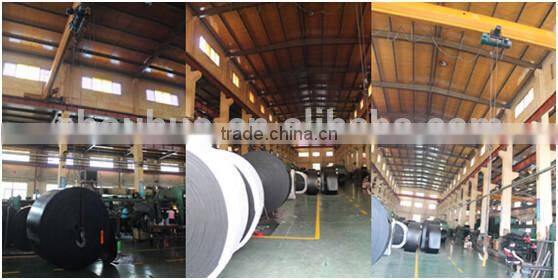 China Wholesale Custom Custom zhejiang used nylon conveyor belt