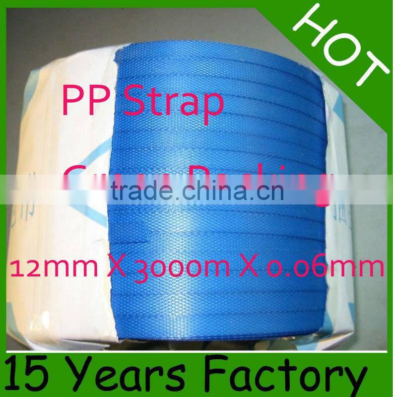 15 YEARS FACTORY -- PP Strap