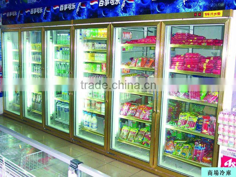 glass door display cold room/display cold room