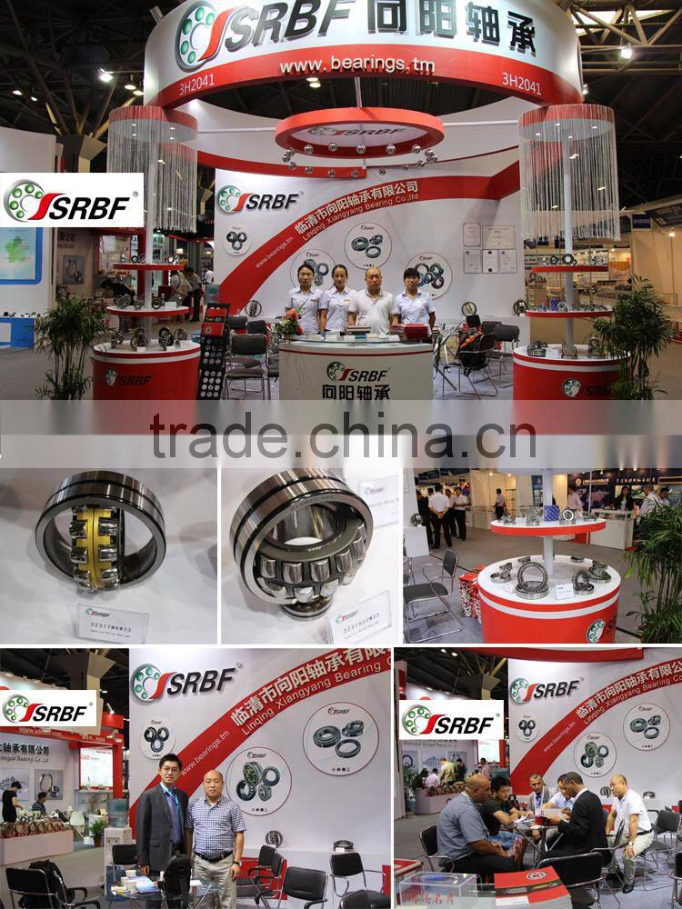 3216,3217,3218,3219 Double Row Angular Contact Ball Bearing