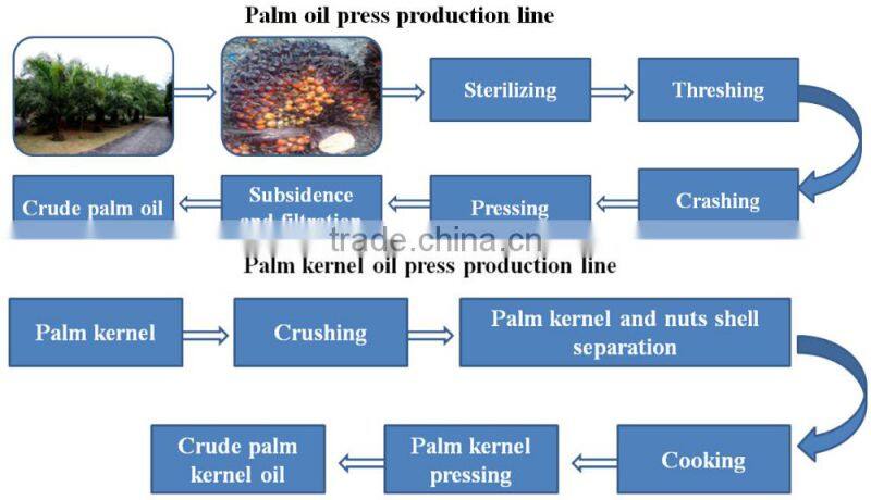 Palm oil production line | palm oil processing machine