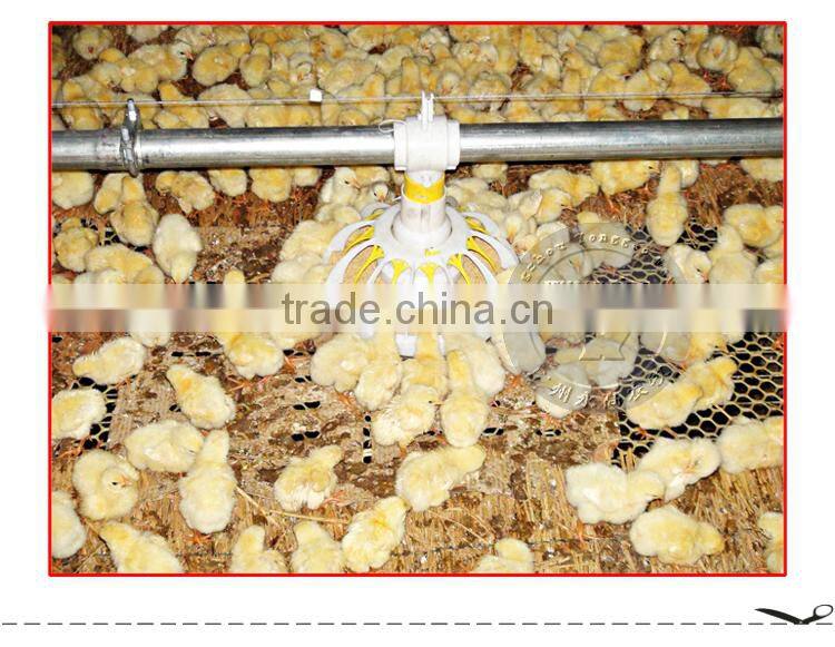 Poultry Automatic Feeding Drinking system for Chicken brolier