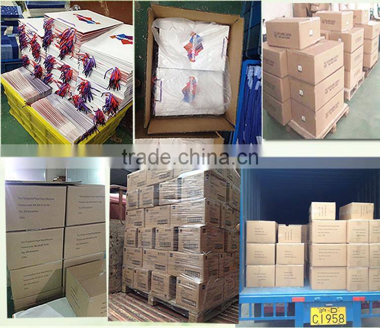 Documents carry paper bag, twisted handle paper carrier bag for documents