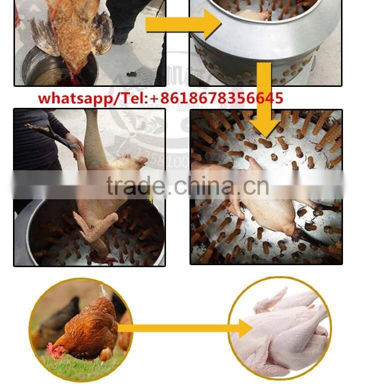 Slaughterhouse equipment Poultry plucking machine MJ-50 poultry plucker for chicken ,goose ,duck