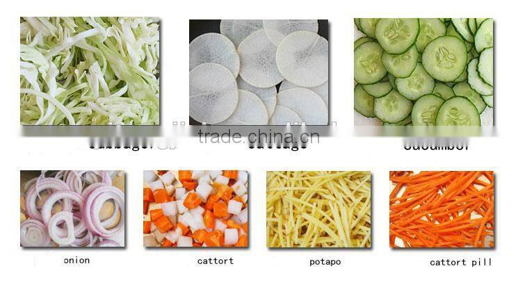 Multi-functional Stainless Steel Vegetable Cutter