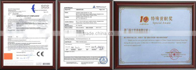 Superior quality Brazil Giallo Veneziano Granite Countertop