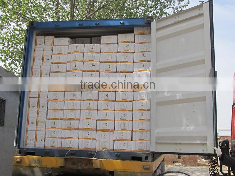 Malleable iron pipe fittings