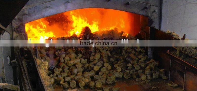 Palm Fiber Briquette