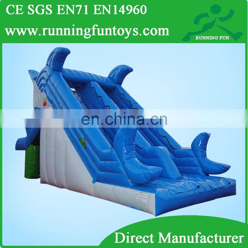 New design giant inflatable water slide,large inflatable slide for sale RF59