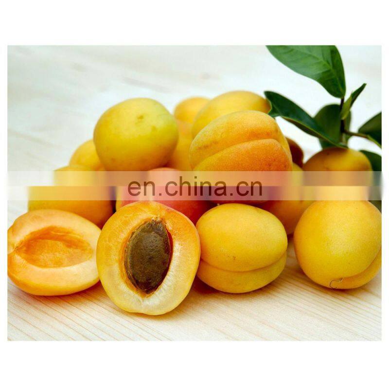 Vietnam Premium Quality WHOLE IQF Carton Common Cultivation Type Frozen Fruits For Dessert Snack Baking
