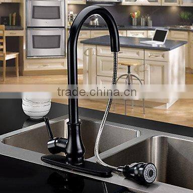 2015 American Standard Faucets Black Kitchen Faucet