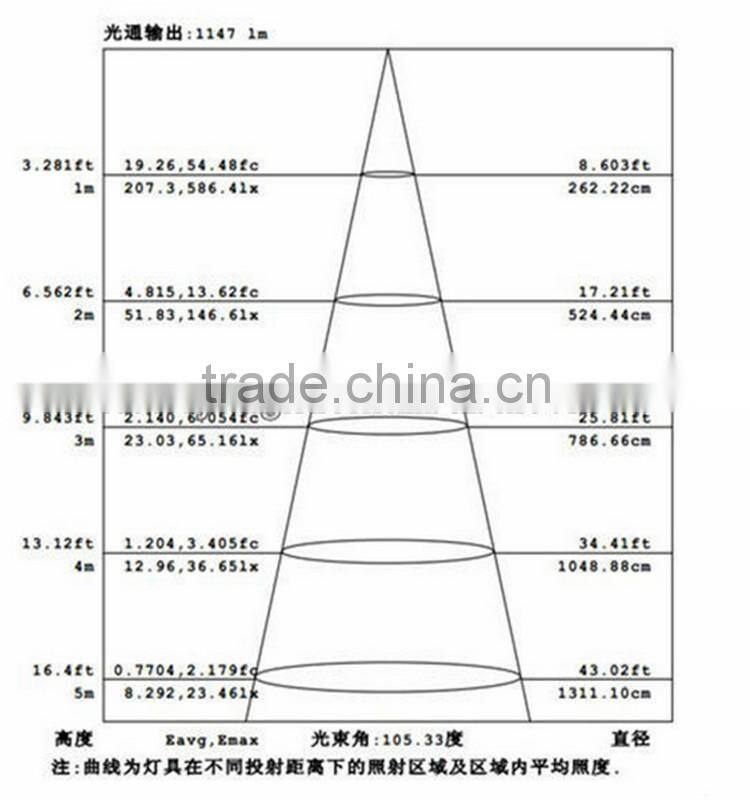 Induction LED Lamp COB 30w led flood light with sensor
