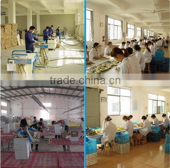 2015 Factory Wholesale Ride on Animal Toy Wooden Rocking Horse