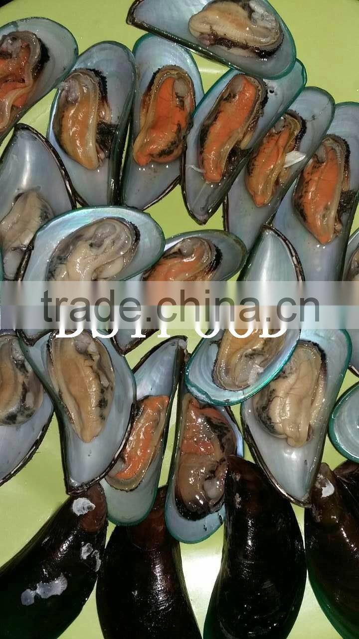 frozen green mussel