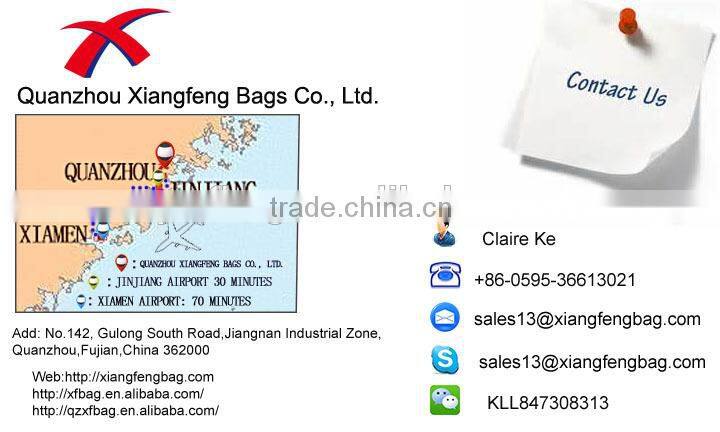 frozen elsa trolley backpack school EVA trolley bag for girls