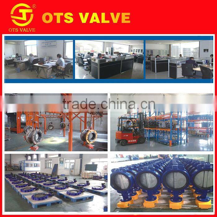 CV-LY-010 stainless steel air compressor check valve flap