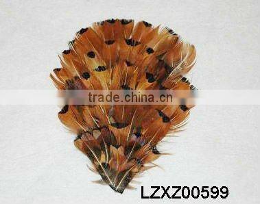 ringneck church window pad LZXZ00584