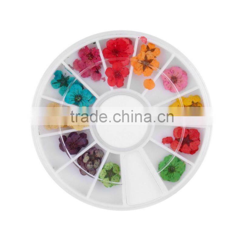 Stickers & Decals Cheap 3D Dry Flower, Mix 12 Color Decorations Real Dried Dry Flower for Nail Art Decorations ZX:GH741