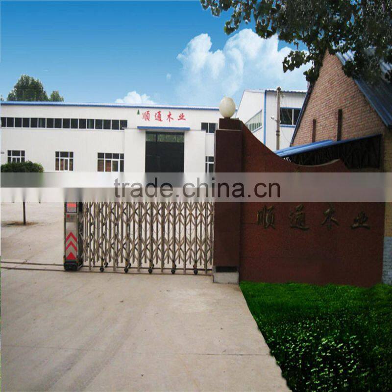 furniture grade laminated lvl bed slat, packing plywood, plywood pallet