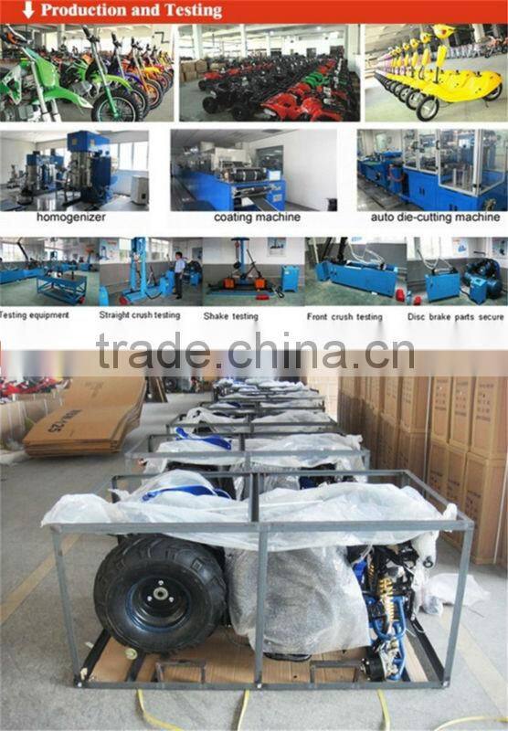 49cc mini cool pocket bike for kids with CE 2 stroke air cooled