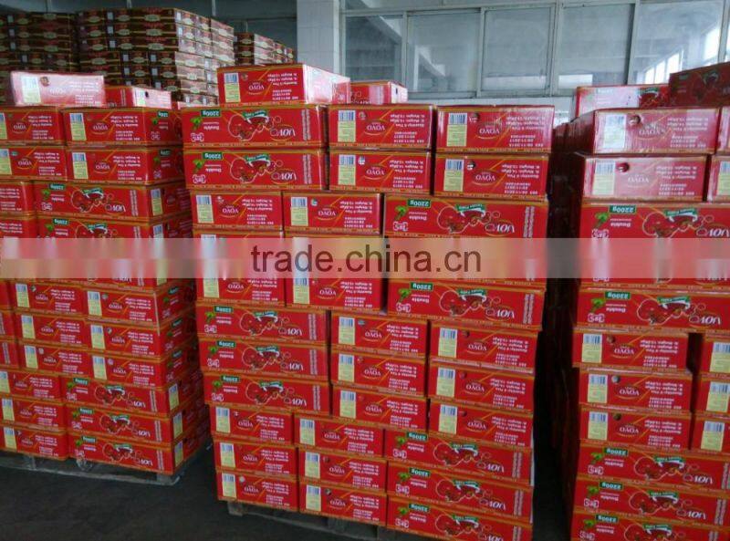 Hot sell and high concetrated canned tomato paste to Africa,Middle East