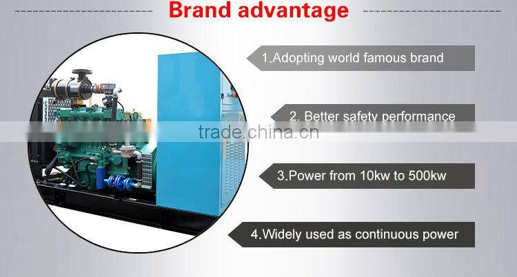 High quality 50kw Liquefied Petrol Gas Generator