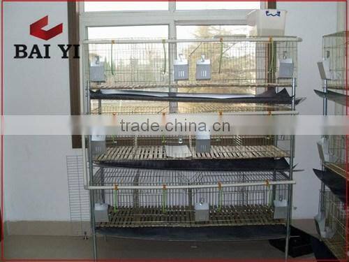 H type & A type & Automatic High Quality Wire Mesh Rabbit Cage For Sale