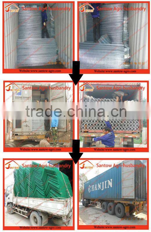 2015 HOT SALE Bird cage for chicken