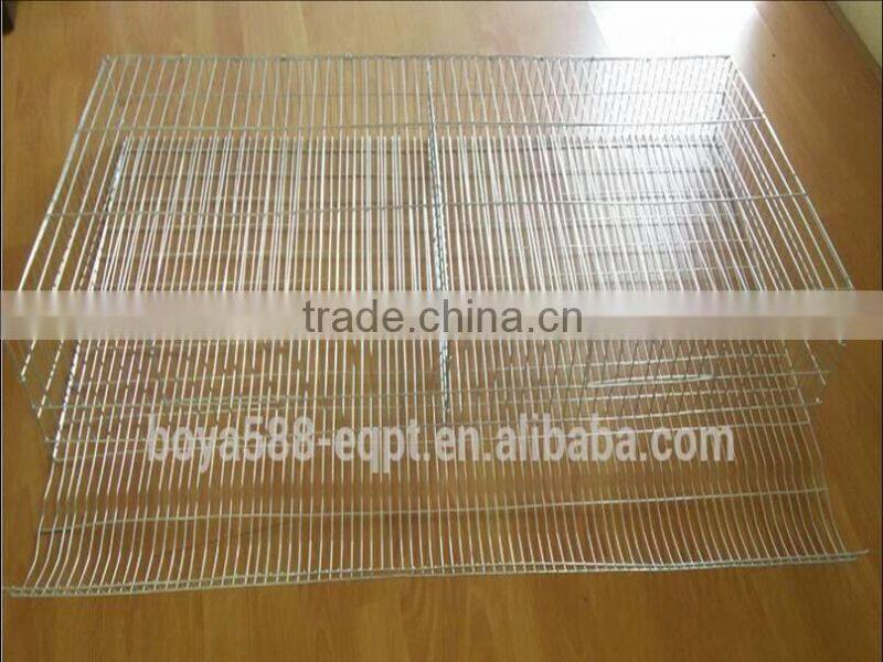 automatic quail bird layer cage system