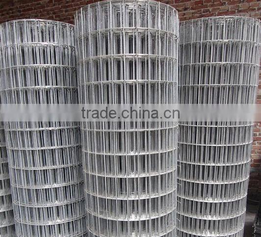 SQ-304 welded wire mesh (Anping manufacture)