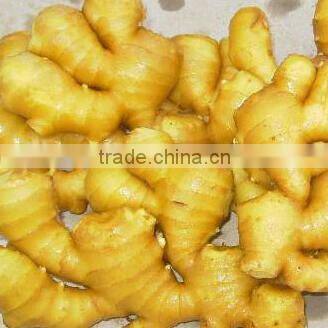 Natural Dried Tumeric Finger