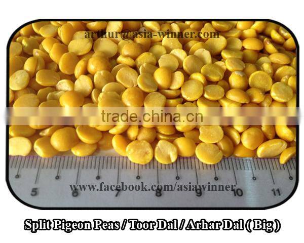 Toor Dal / Split Pigeon Peas / Arhar Dal / Cajanus cajan (Red Ruby)