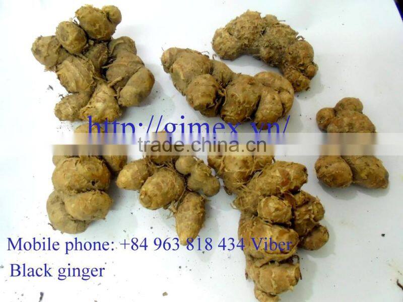 High Quality fresh black Ginger
