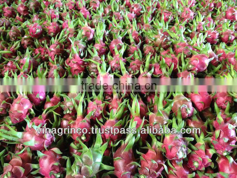 Fresh Dragon Fruit