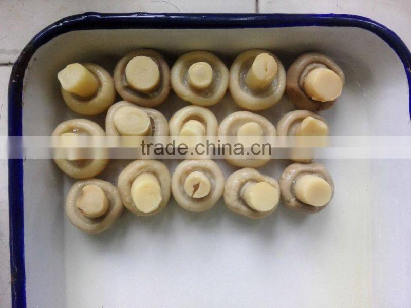 CANNED BUTTON MUSHROOMS WITH SALTY FLAVOR