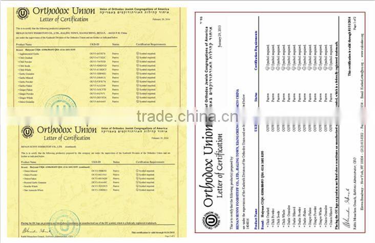 High Quality Dried Onion from Factory