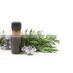Best Manufacturer Ginger Grass Oil
