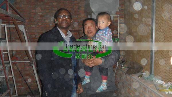 Heavy Type Welded Wire Mesh Anping County China Supplier