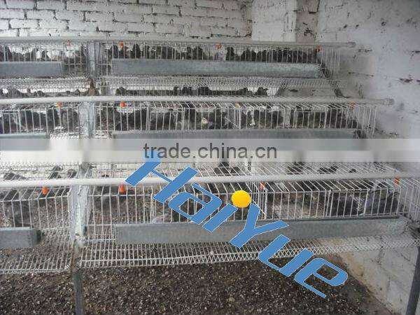 taiyu quail cage small