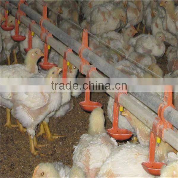 Good price automatic chicken drinker for chickens