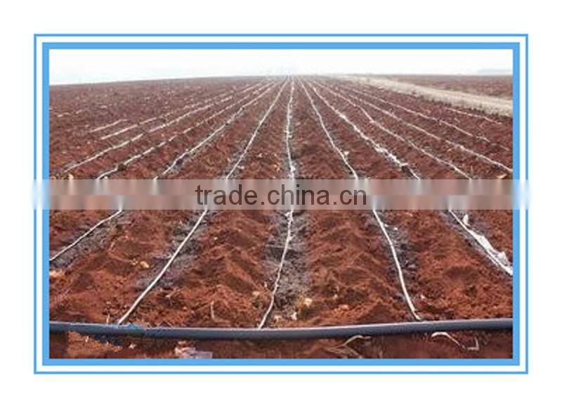 hot selling agriculture farm land drip irrigation hose