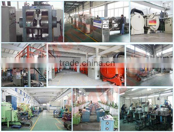 Customized ring sintered alnico magnets