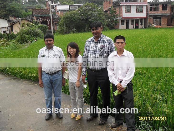 Mine flotator machinery/flotation mineral separator for gold silver coppe/Air Flotation Cell Separator Machine