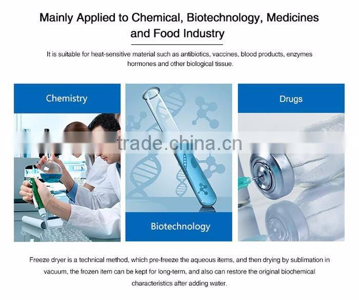 Lab Mini Freeze Drying Machine